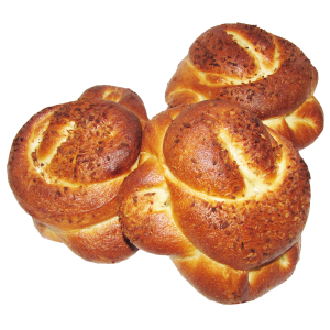 Bun PNG image-13721